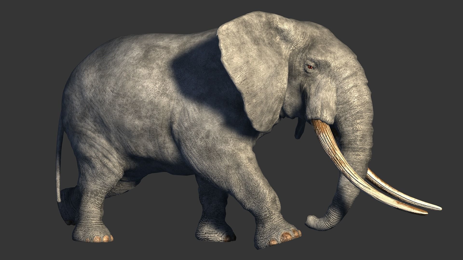 animated elephant 3D model_4