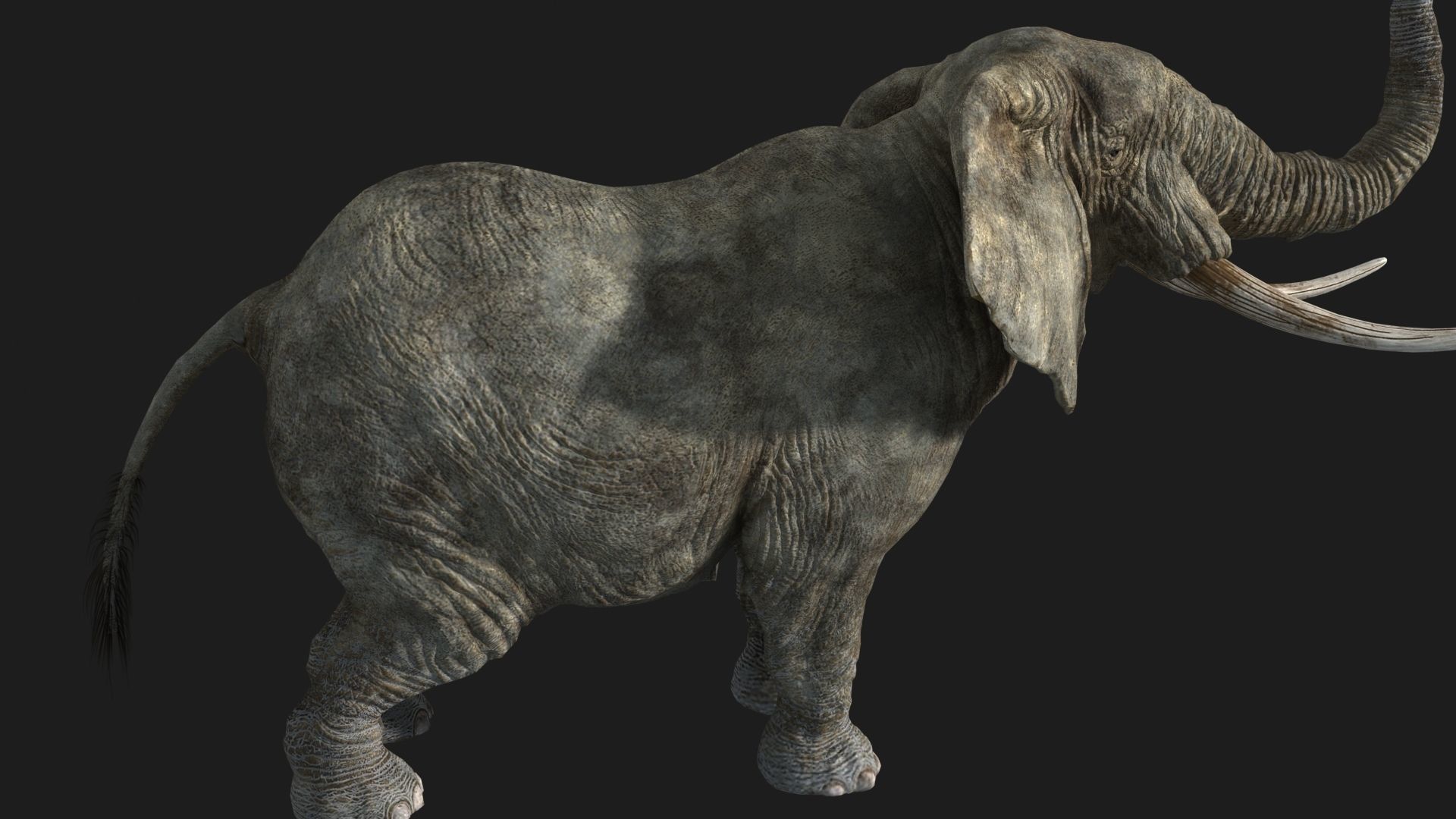 animated elephant 3D model_9