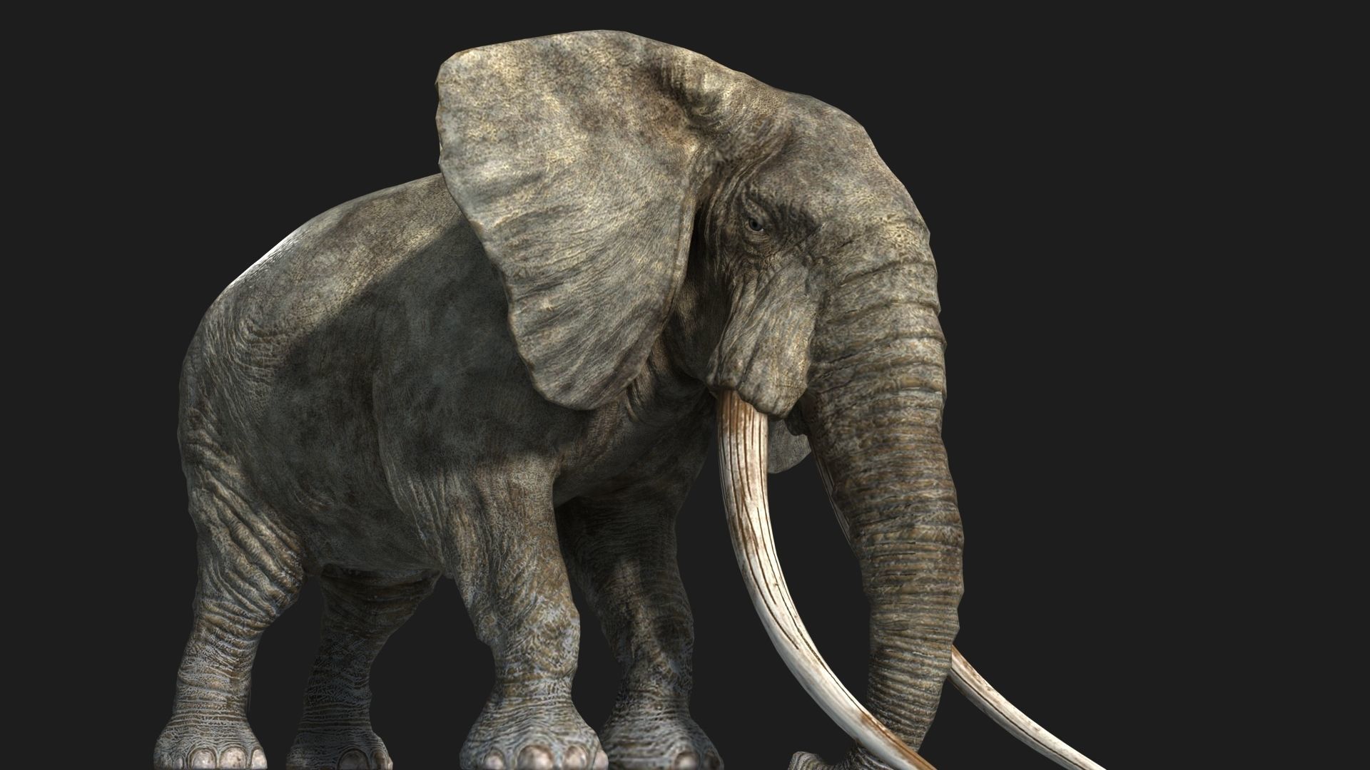 animated elephant 3D model_7