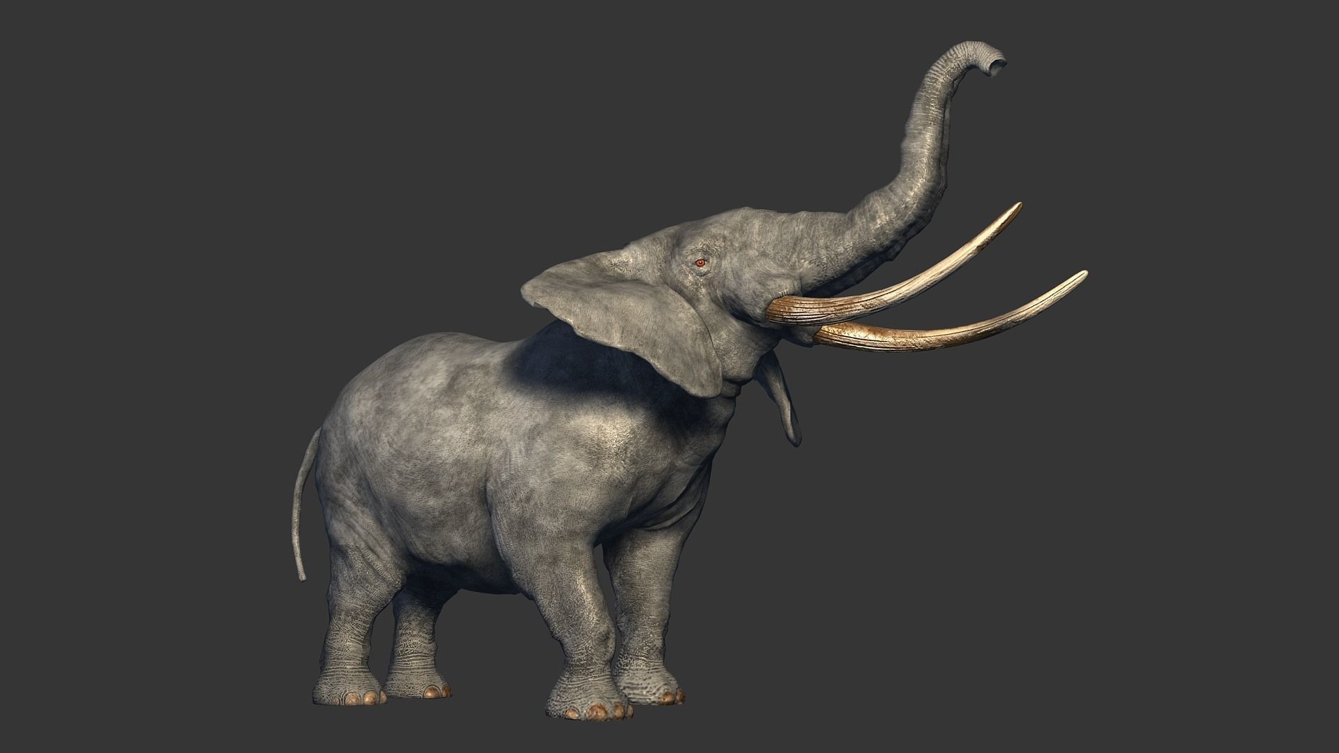 animated elephant 3D model_5