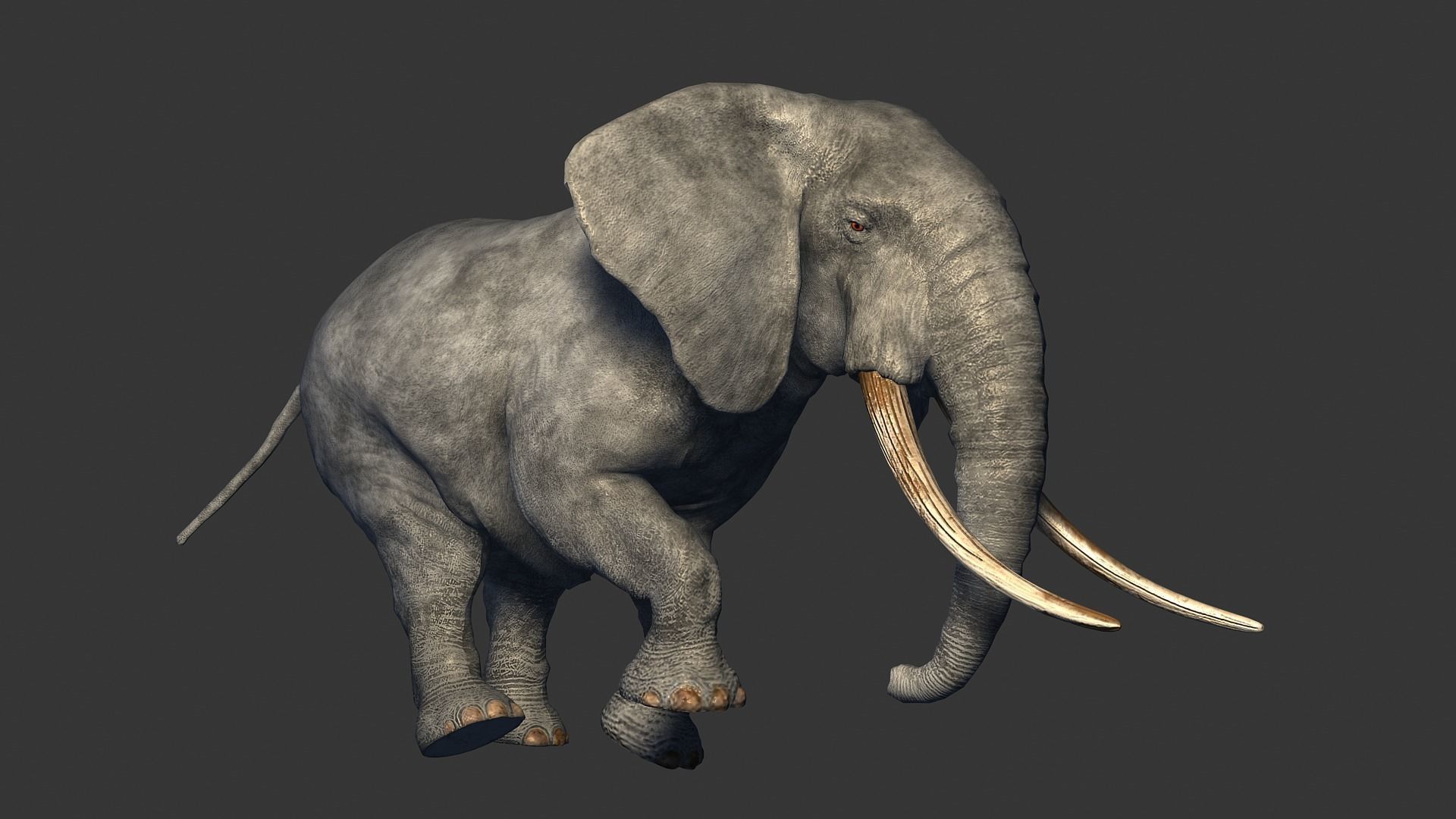 animated elephant 3D model_6