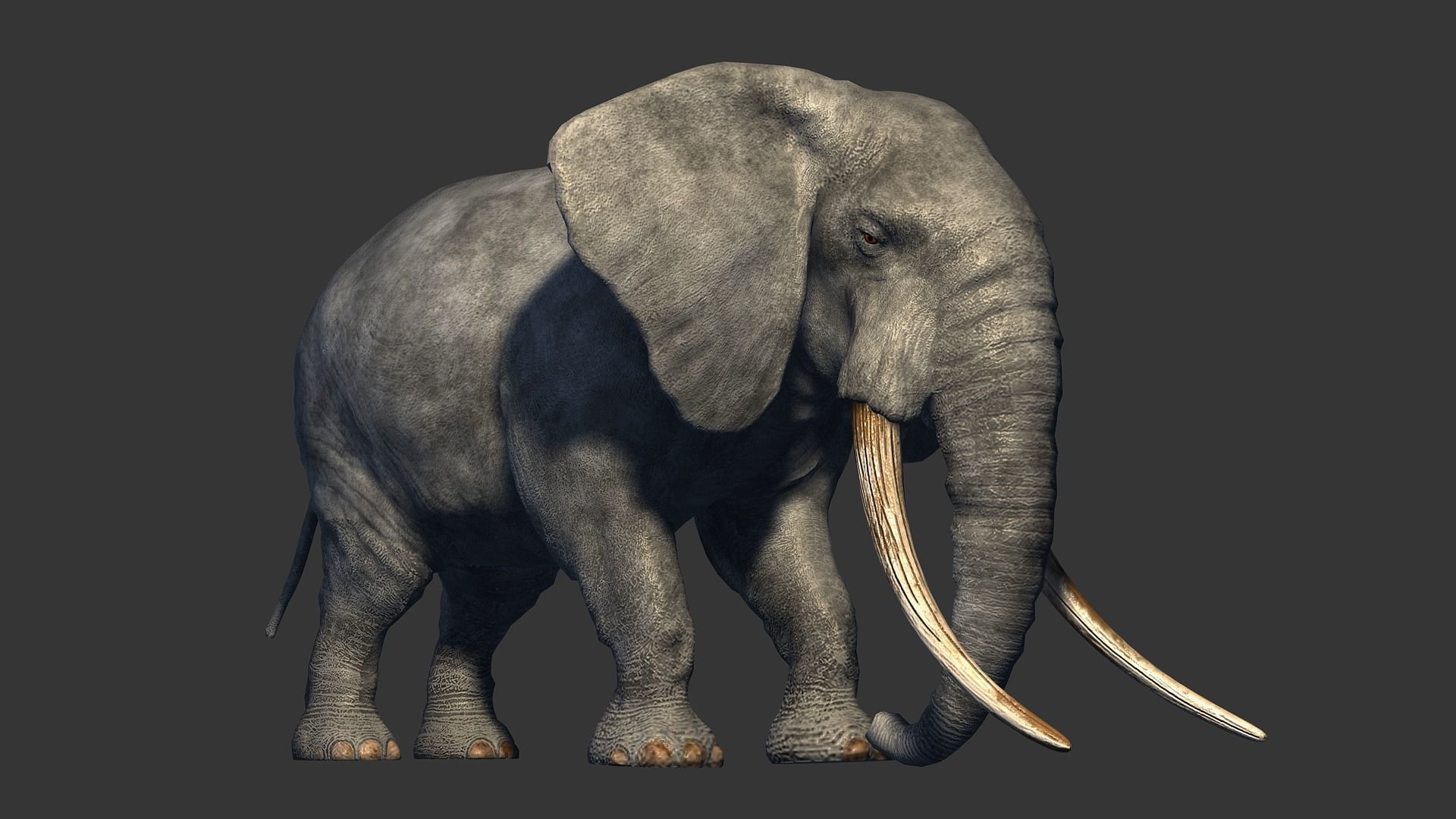 animated elephant 3D model_3