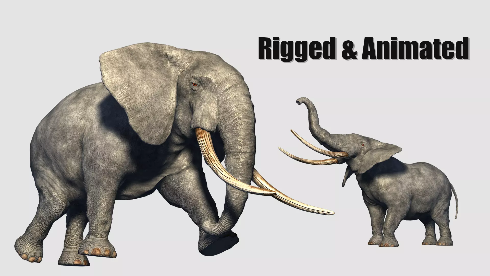 animated elephant 3D model_0