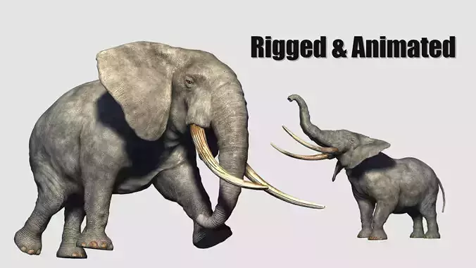 animated elephant 3D model