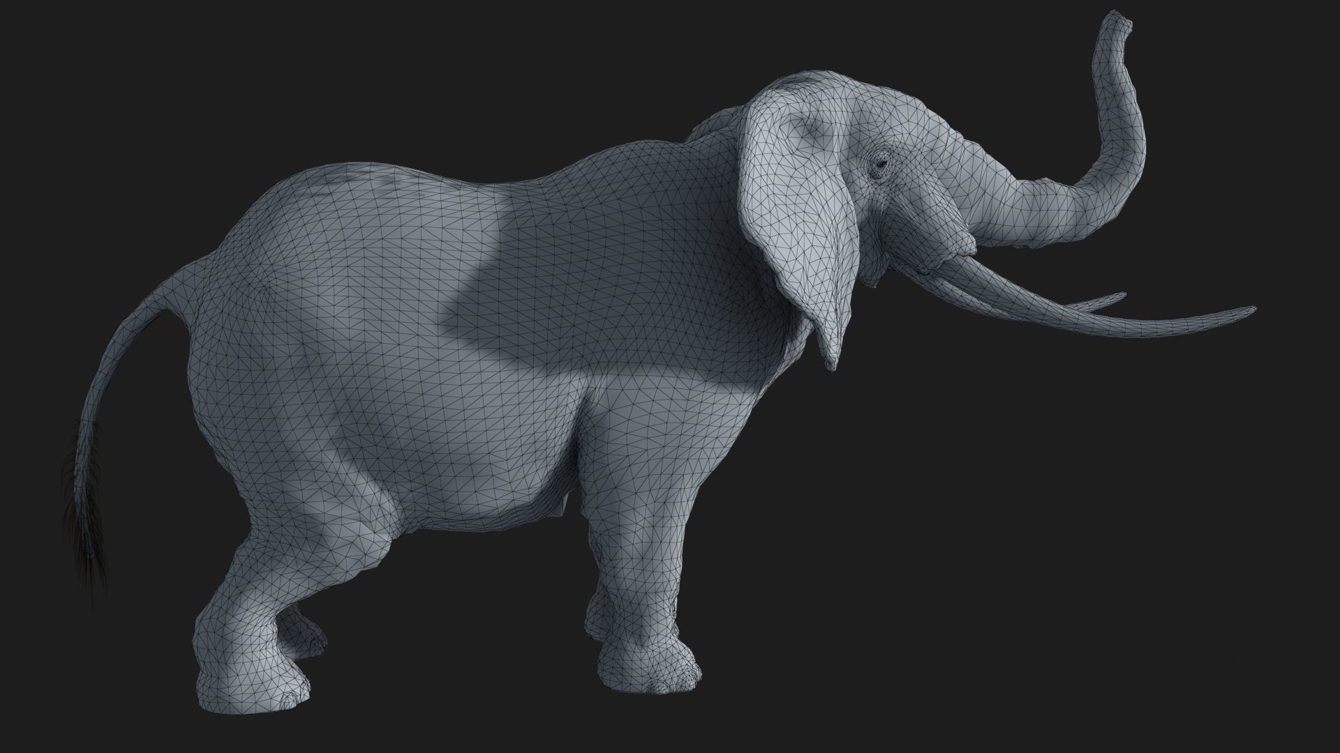 animated elephant 3D model_11