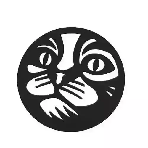 Coaster cat logo