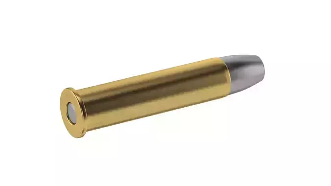 Bullet 45-70