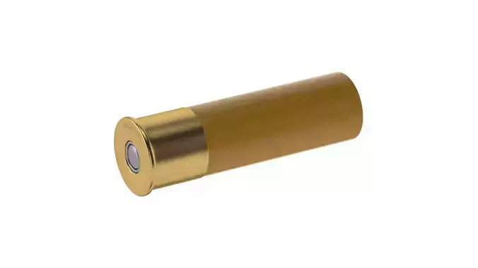 Bullet 10 GAUGE