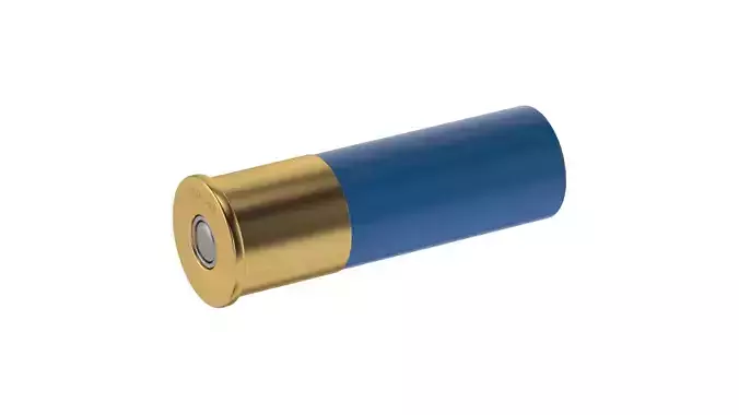 Bullet 16 GAUGE