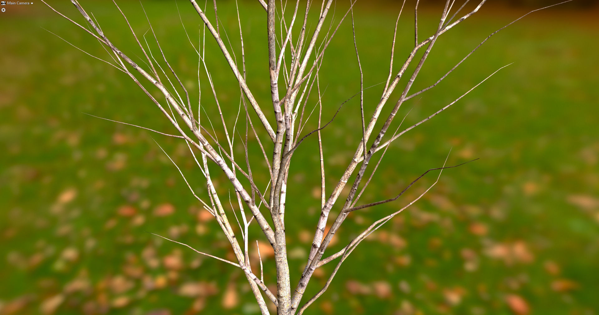 Autumn Maple  Scan  Low-poly 3D model_21