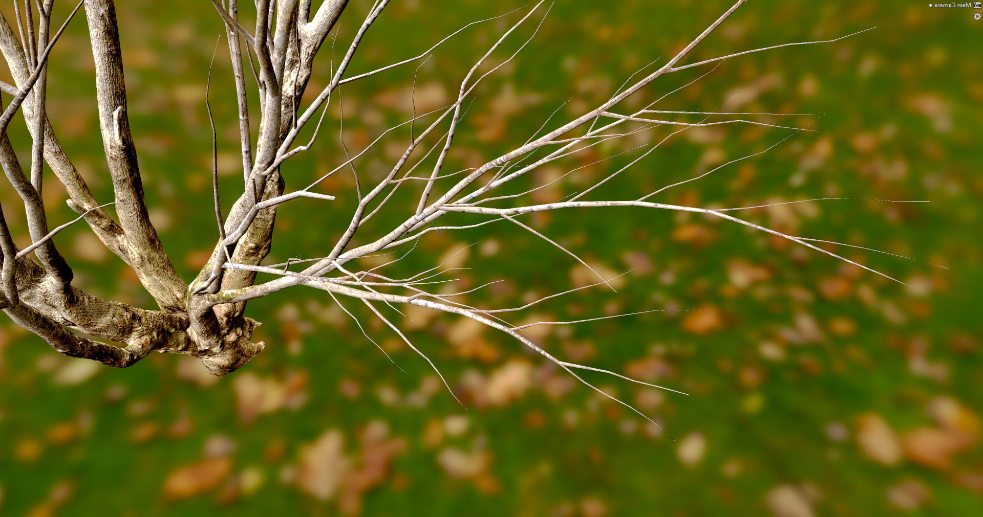 Autumn Maple  Scan  Low-poly 3D model_3