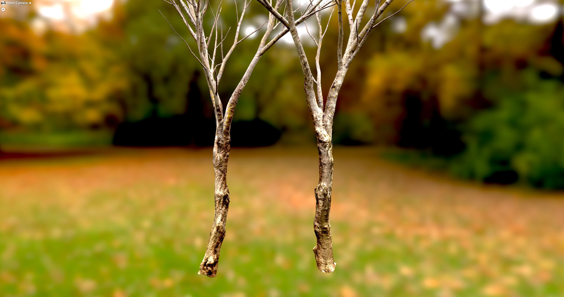 Autumn Maple  Scan  Low-poly 3D model_24