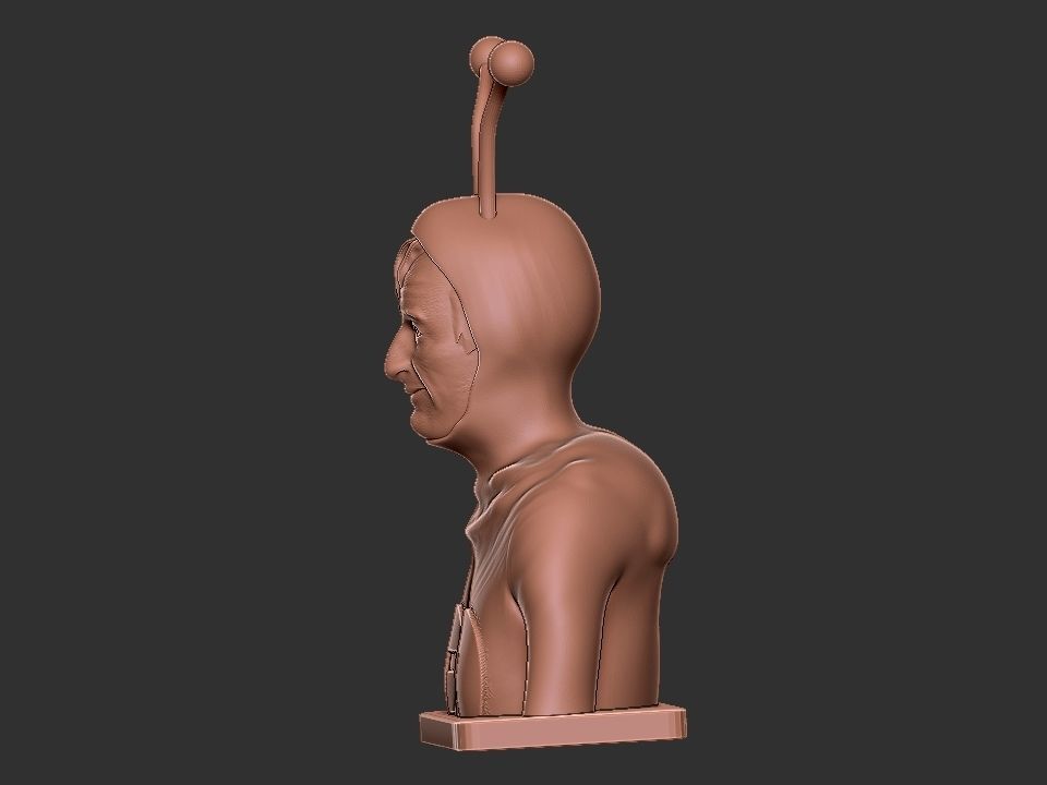 Chapulin Colorado Bust 3D print model_3