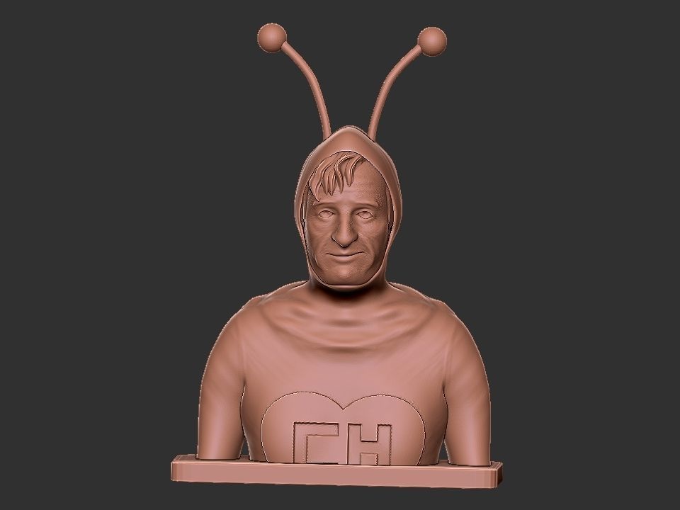 Chapulin Colorado Bust 3D print model_1