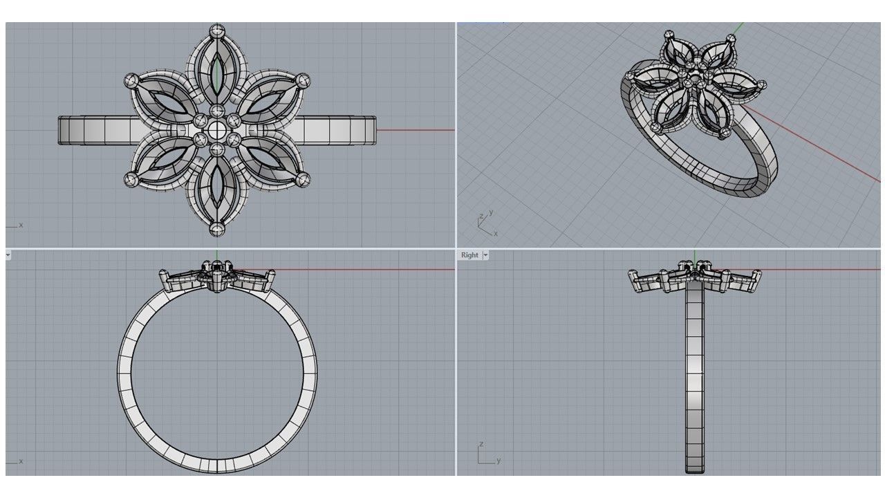 18 ring 3D print model_1