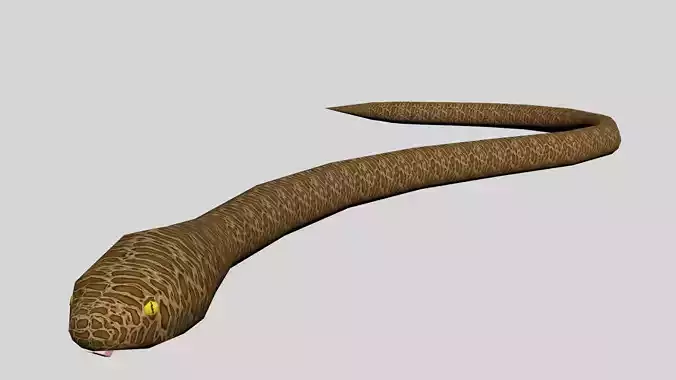 Snake Python Low-poly 3D model