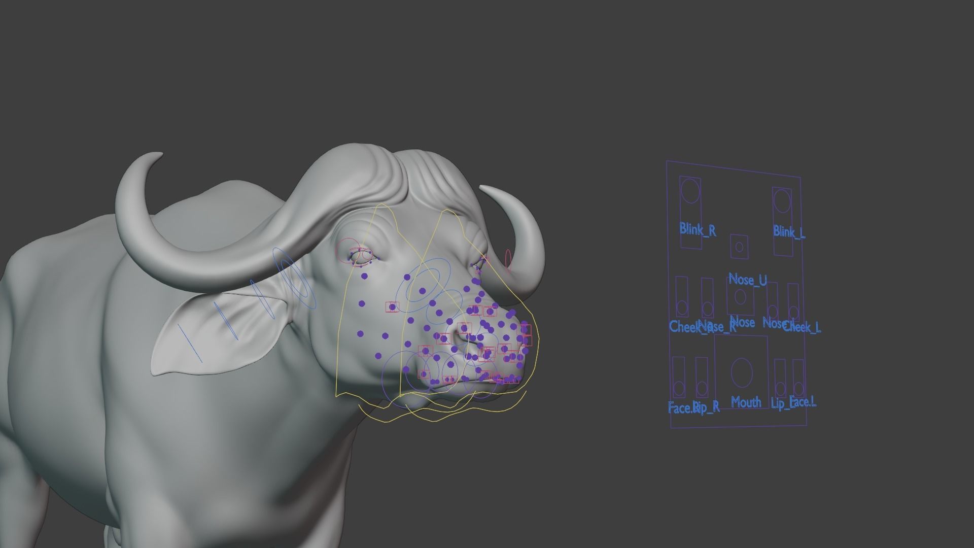 African Buffalo Syncerus Caffer Animated 3D model_20