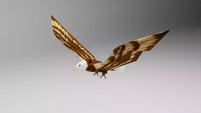 Low Poly Eagle Animated