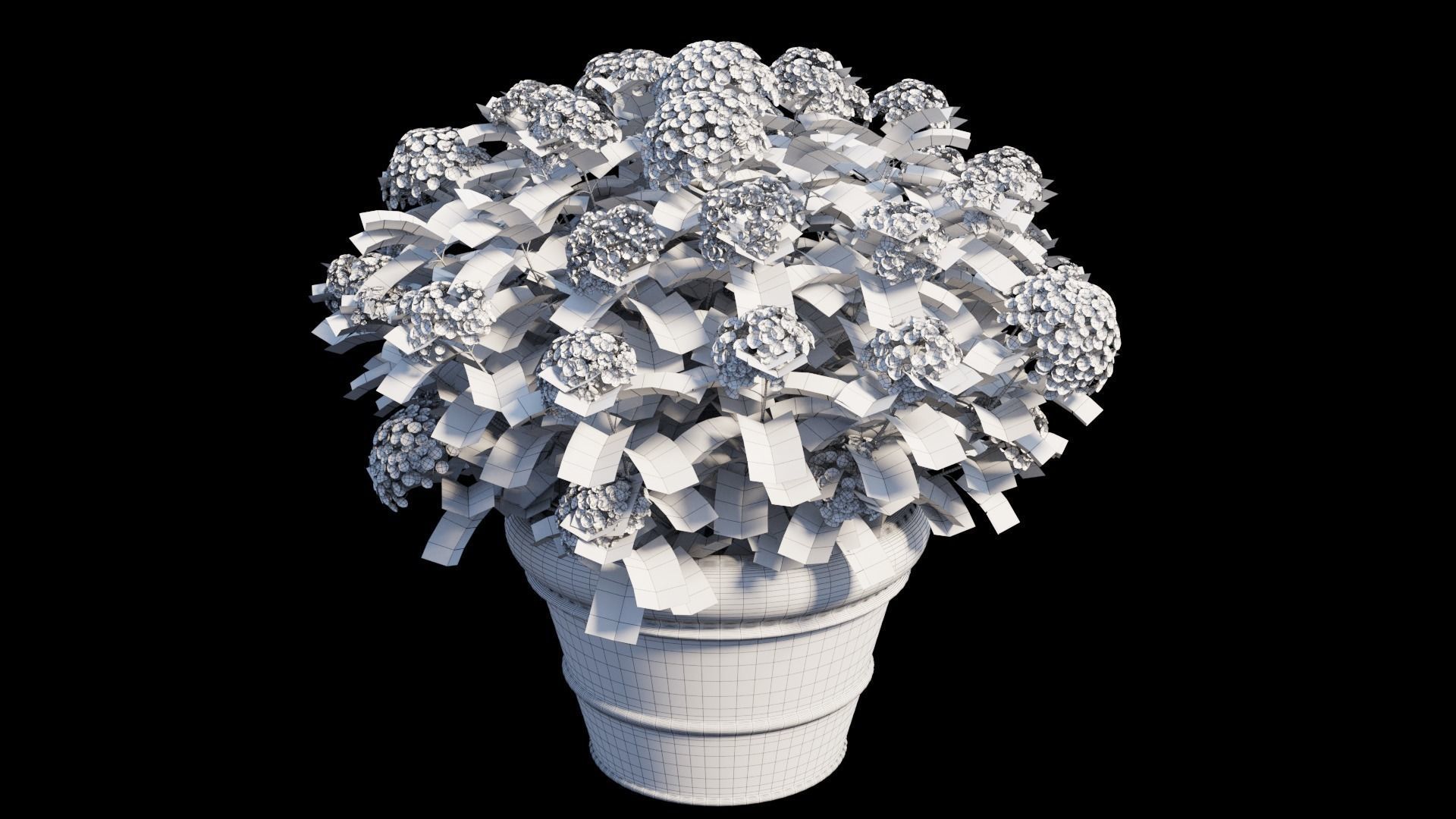 Hydrangea in planters set 03  3D model_13