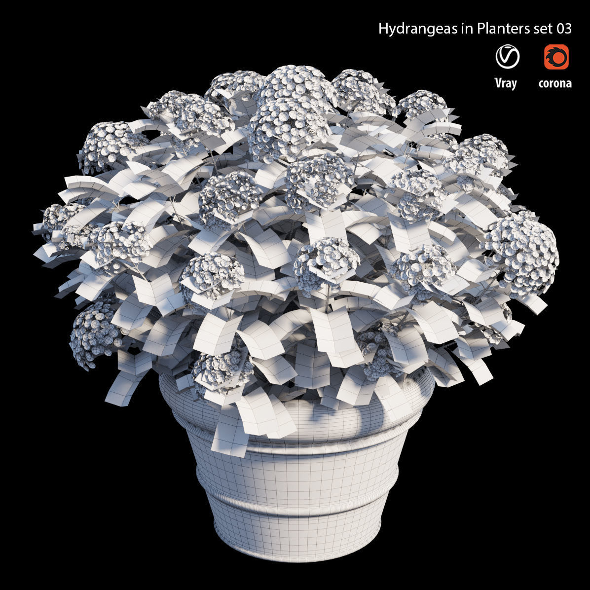 Hydrangea in planters set 03  3D model_6