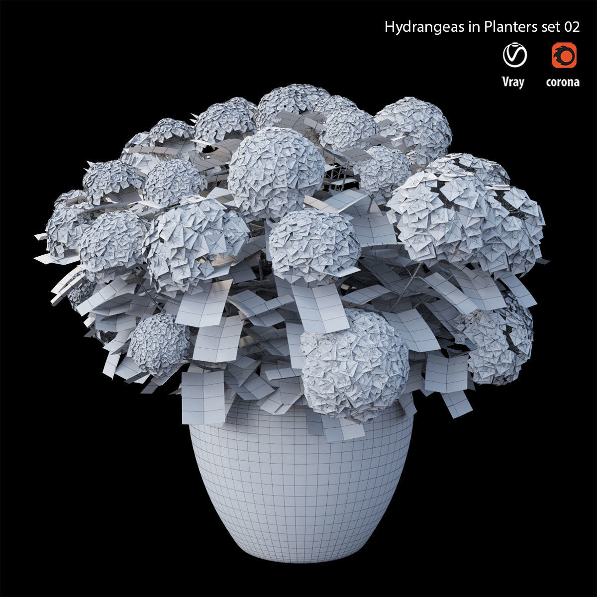 Hydrangea in planters set 02 3D model_4
