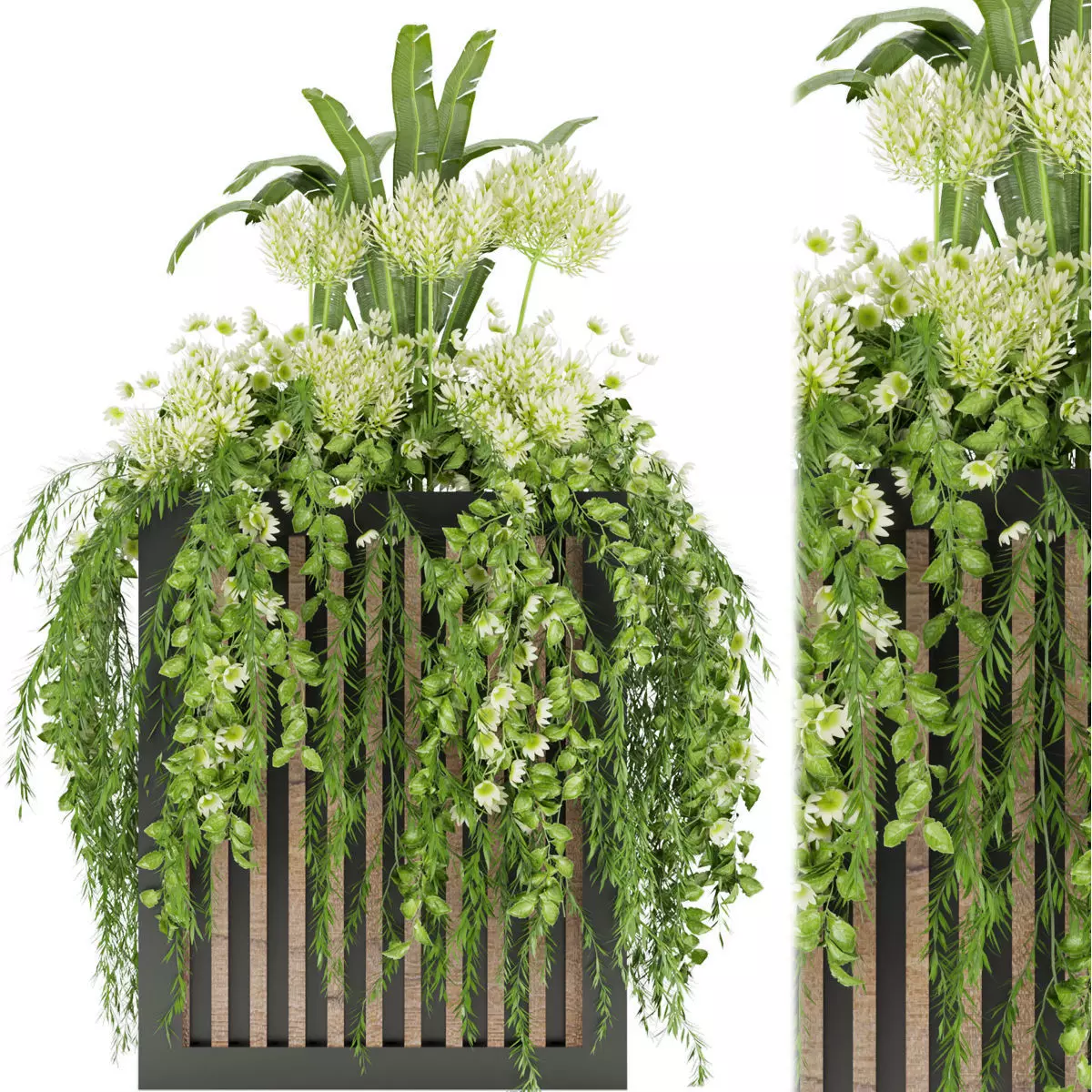 Collection plant vol 42 3D model