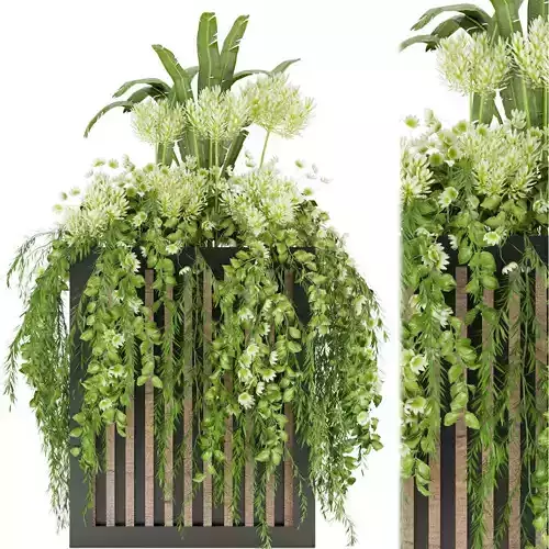 Collection plant vol 42