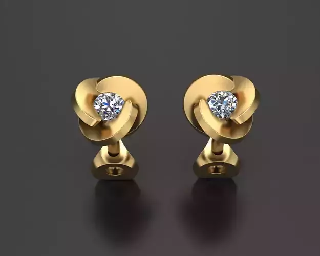 Stud Earrings 