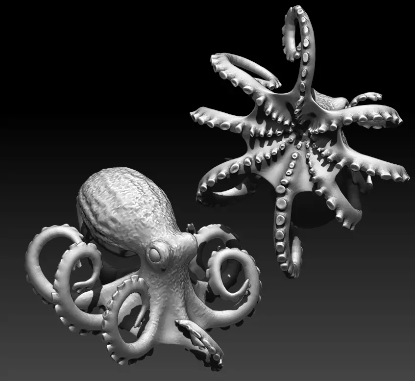 octopus 3D print model