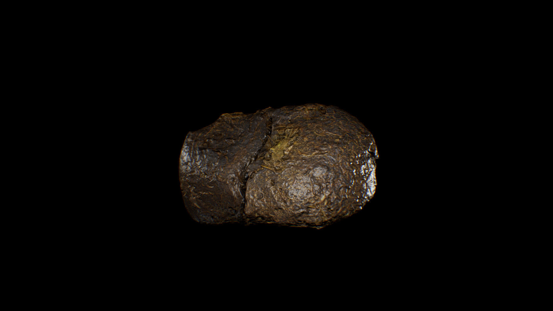Animal Dung Feces - Horse and Cow Photoscanned Low-poly 3D model_8