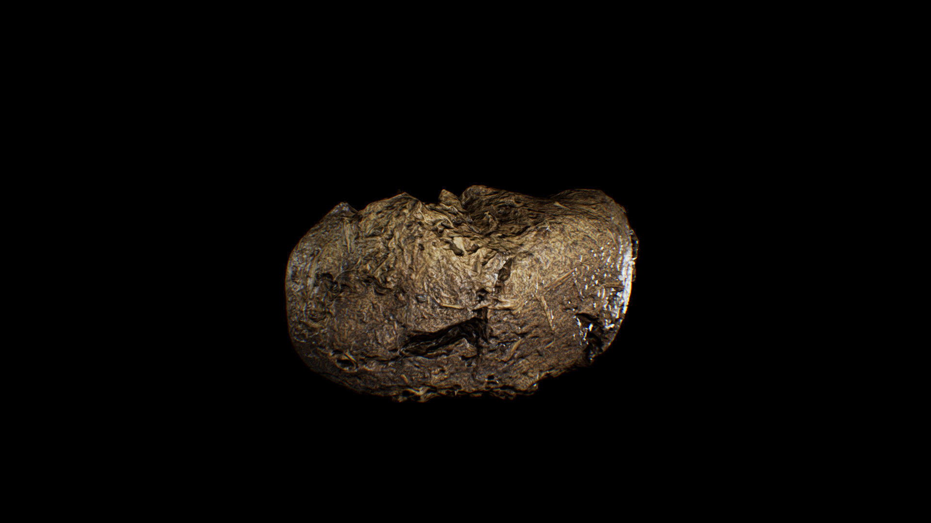 Animal Dung Feces - Horse and Cow Photoscanned Low-poly 3D model_12