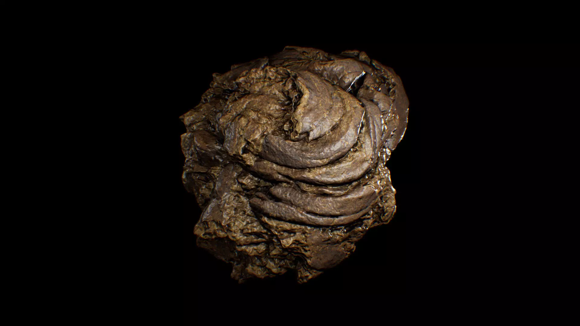 Animal Dung Feces - Horse and Cow Photoscanned Low-poly 3D model_0