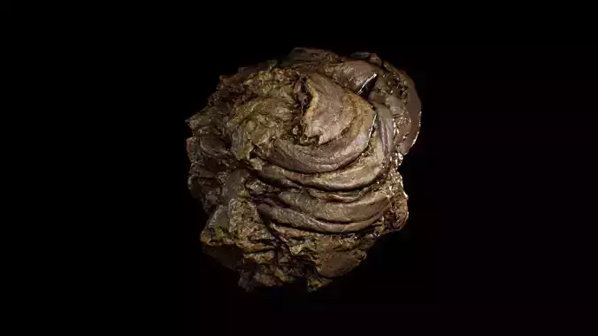 Animal Dung Feces - Horse and Cow Photoscanned Low-poly 3D model