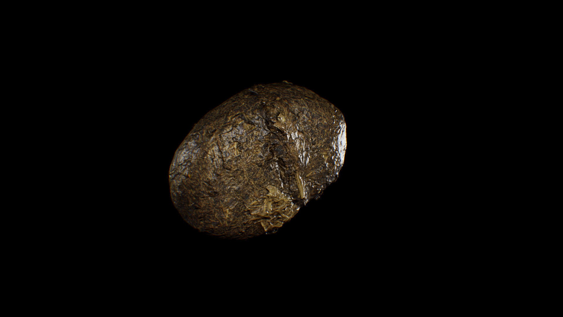 Animal Dung Feces - Horse and Cow Photoscanned Low-poly 3D model_10