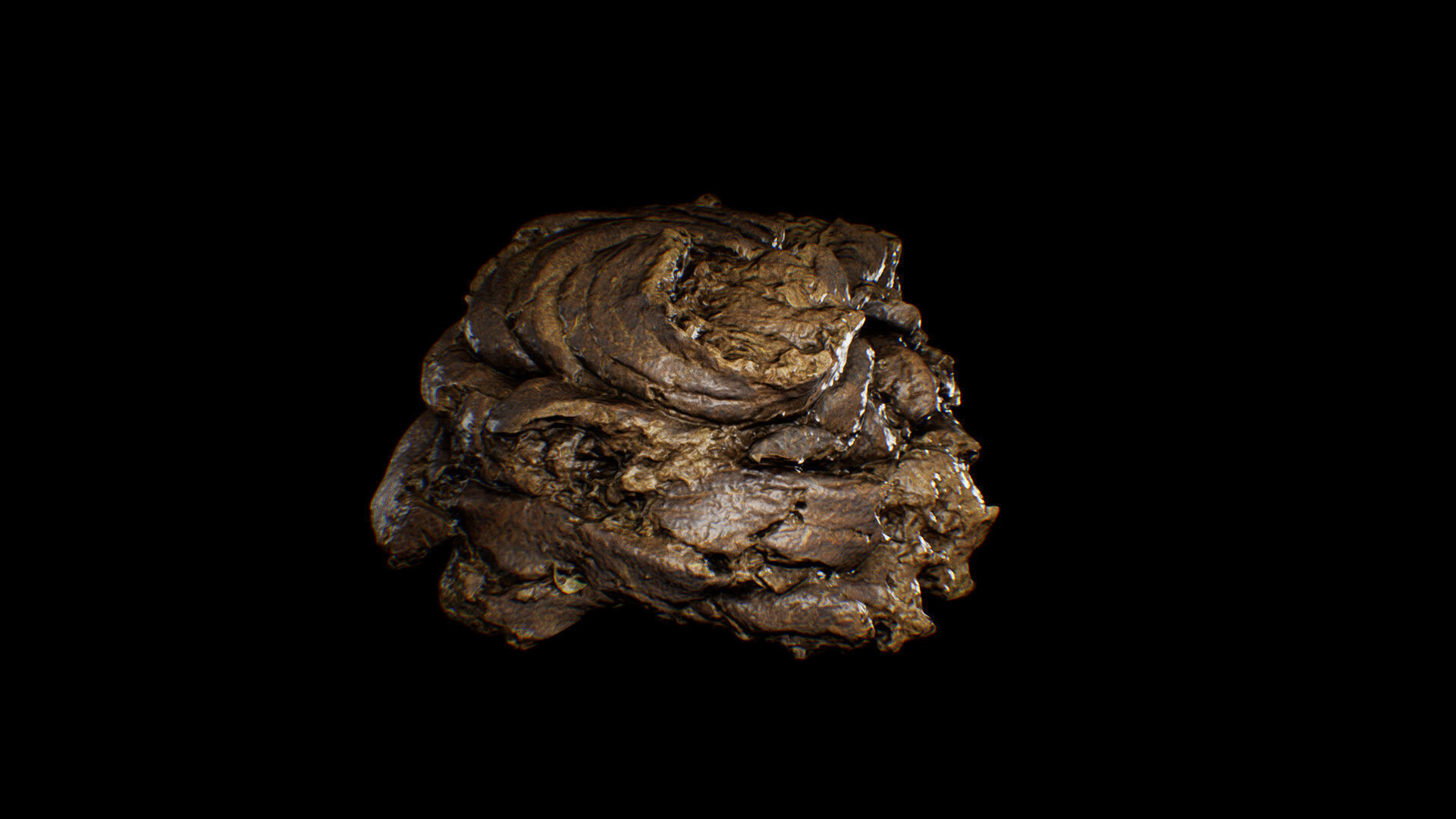 Animal Dung Feces - Horse and Cow Photoscanned Low-poly 3D model_2