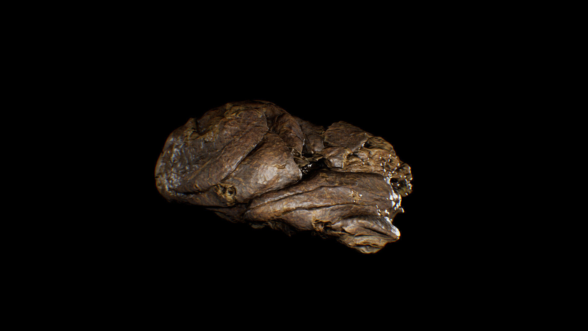 Animal Dung Feces - Horse and Cow Photoscanned Low-poly 3D model_13