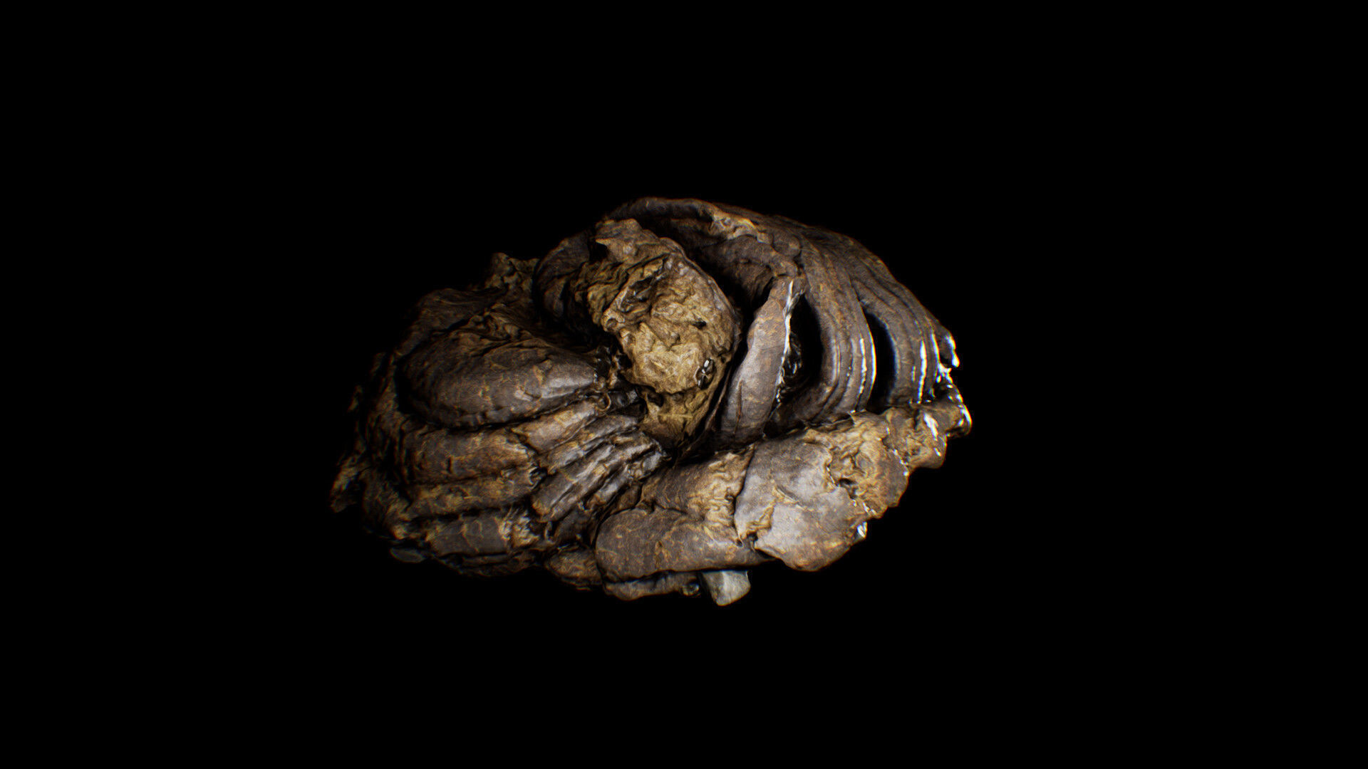 Animal Dung Feces - Horse and Cow Photoscanned Low-poly 3D model_5