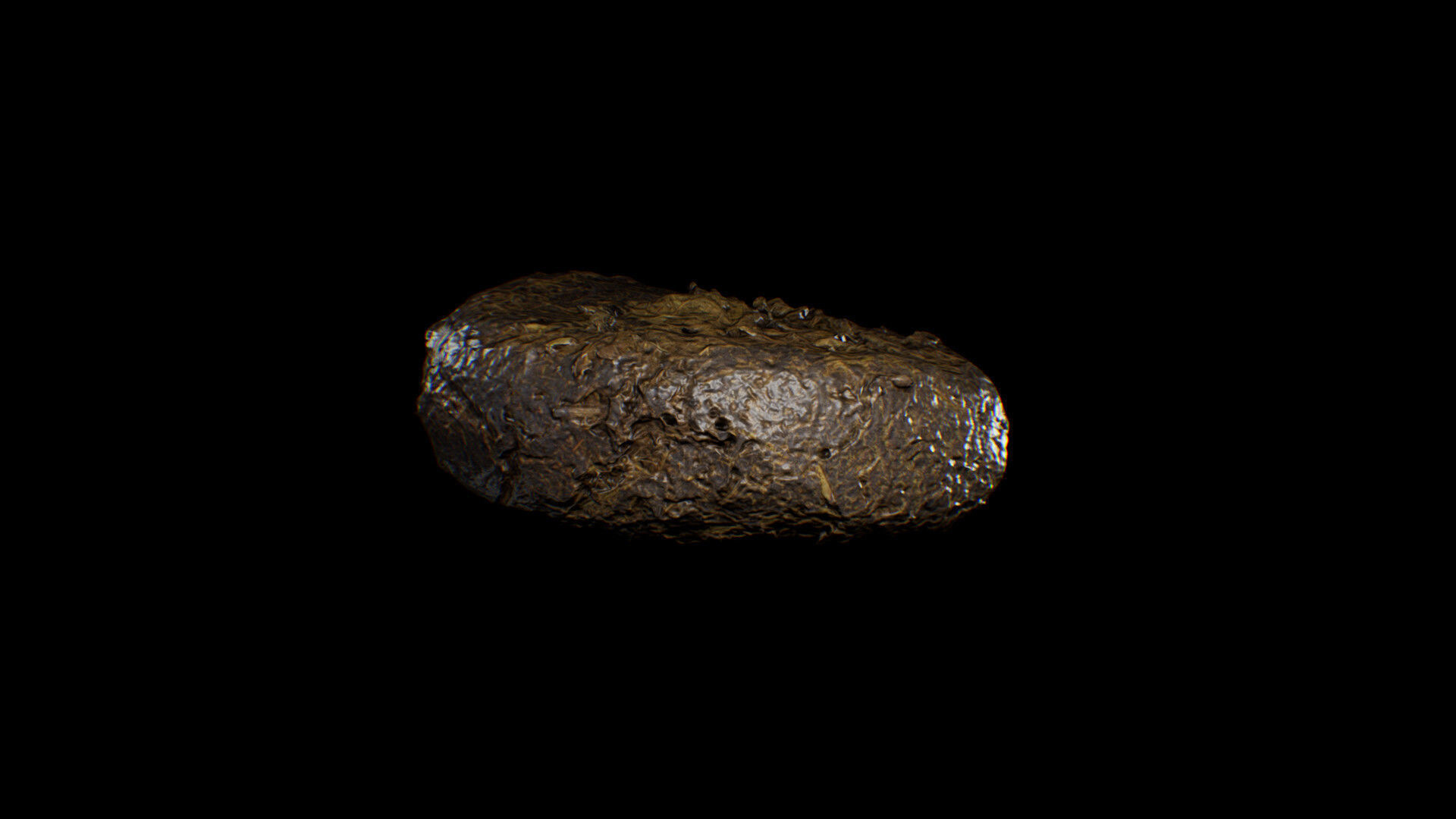 Animal Dung Feces - Horse and Cow Photoscanned Low-poly 3D model_6