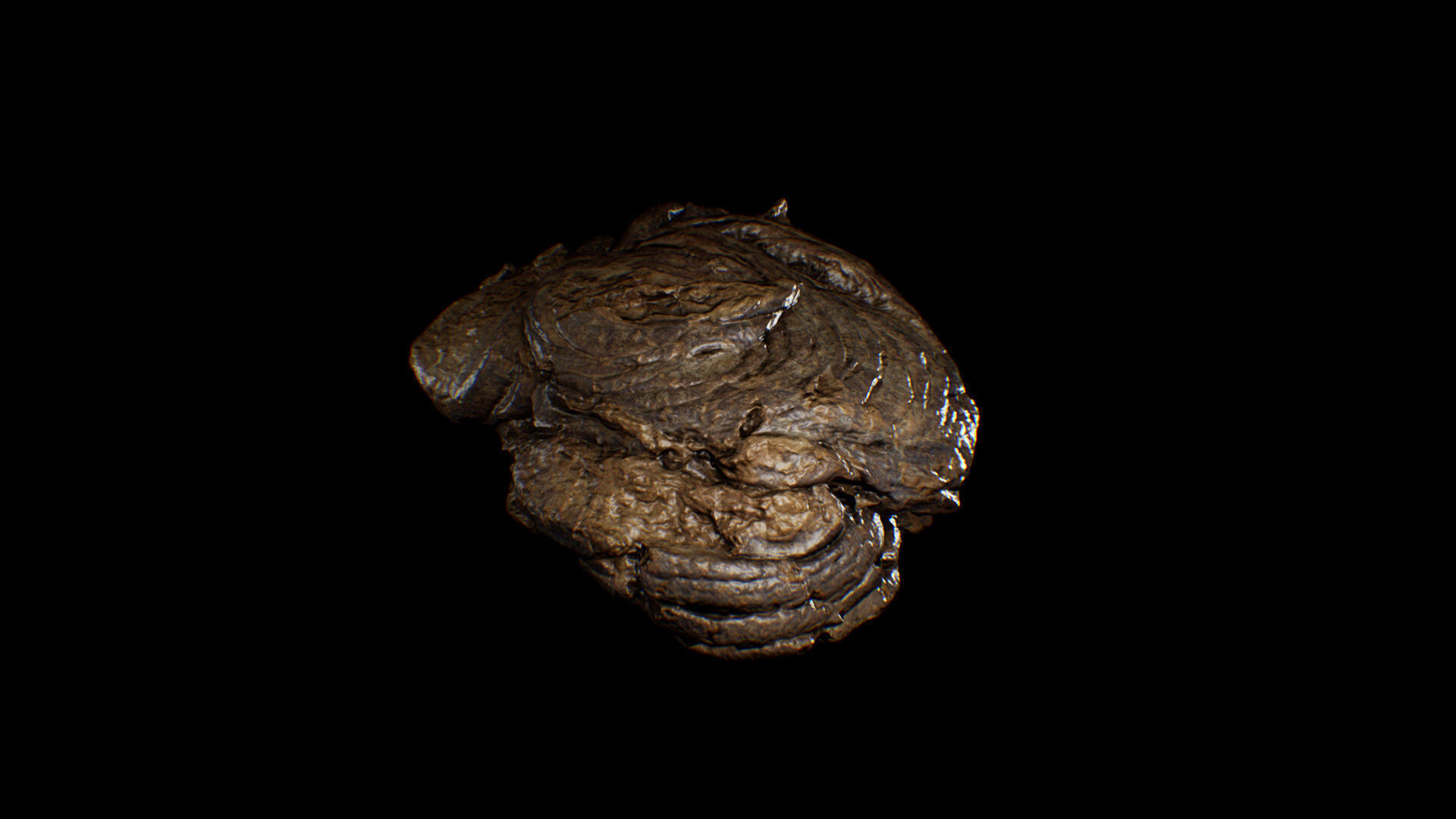 Animal Dung Feces - Horse and Cow Photoscanned Low-poly 3D model_4