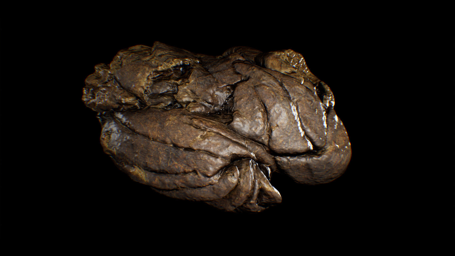 Animal Dung Feces - Horse and Cow Photoscanned Low-poly 3D model_14