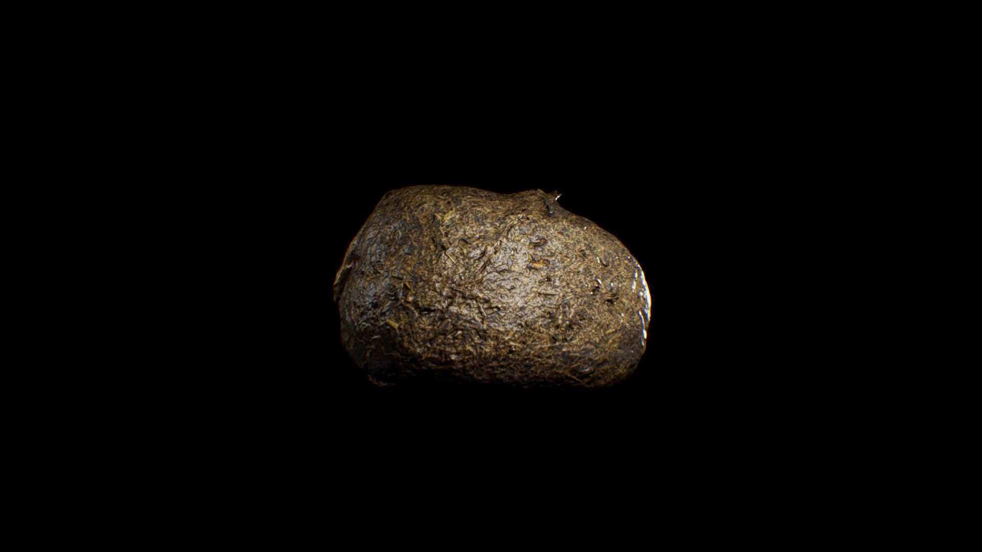 Animal Dung Feces - Horse and Cow Photoscanned Low-poly 3D model_9