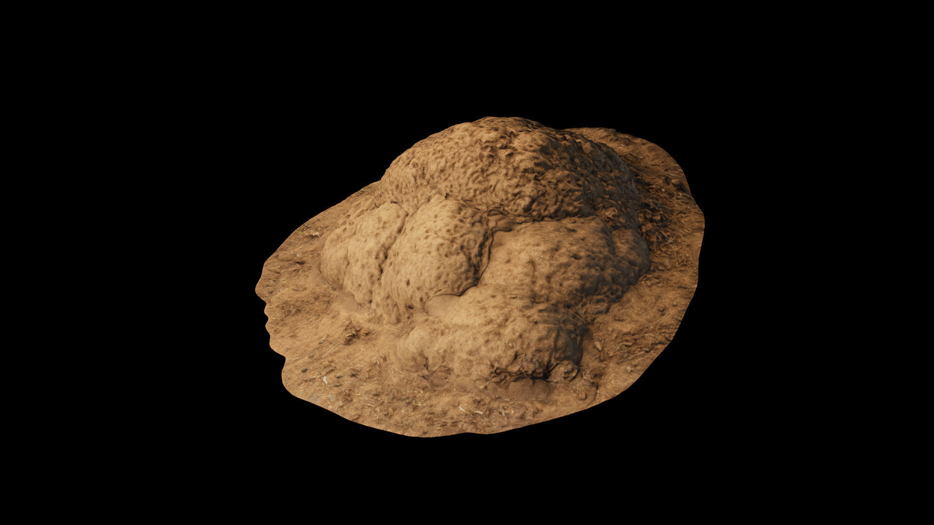 Termite Mounds - Photoscanned Low-poly 3D model_4