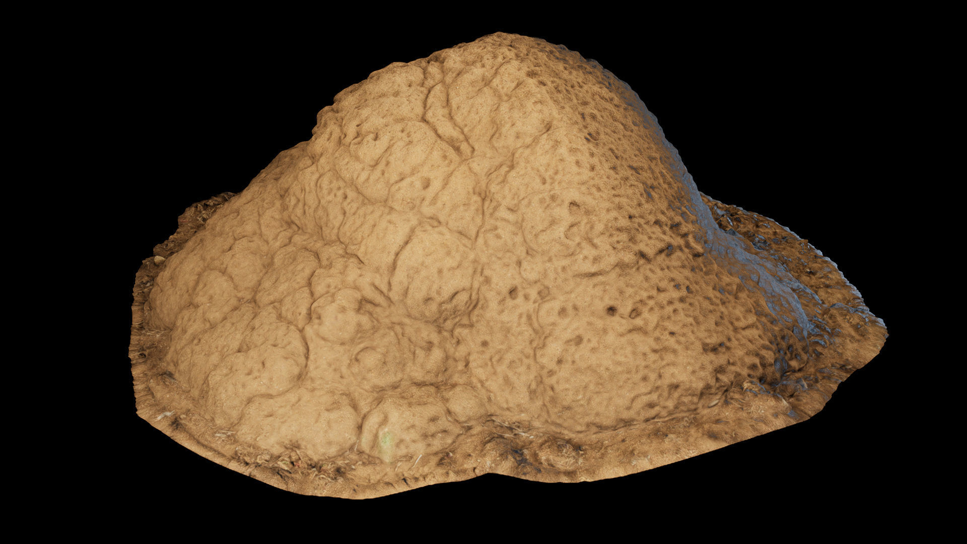 Termite Mounds - Photoscanned Low-poly 3D model_11