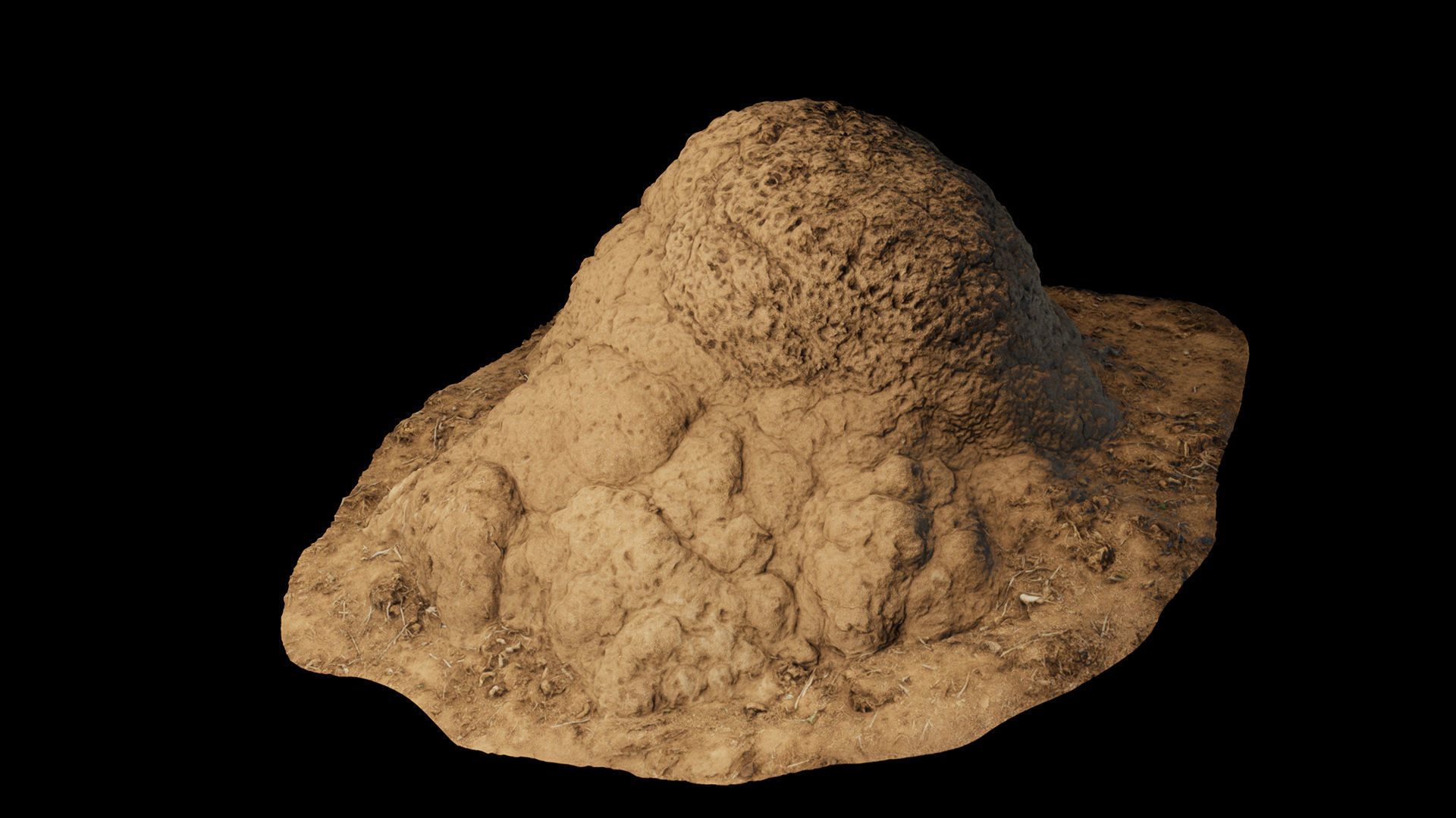 Termite Mounds - Photoscanned Low-poly 3D model_5