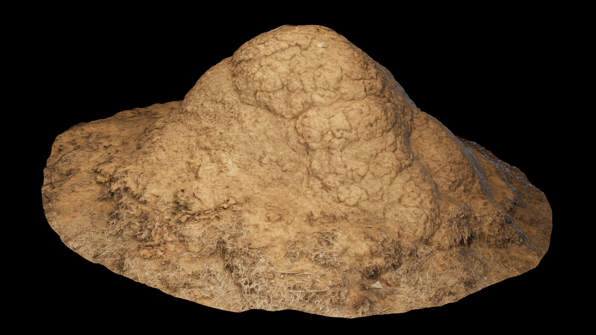 Termite Mounds - Photoscanned Low-poly 3D model_2