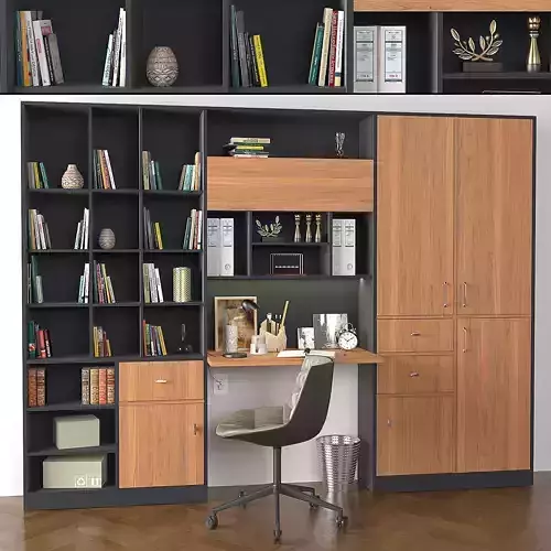 Home-workplace-01 bookcases for home office