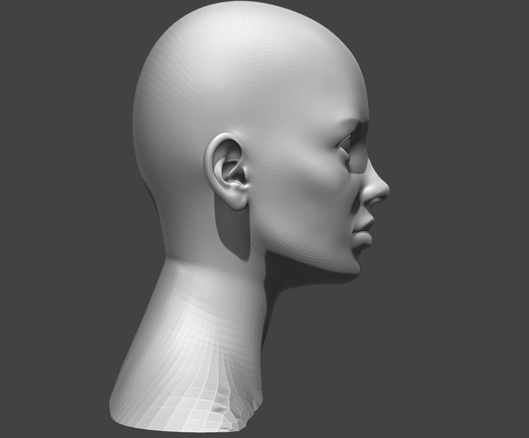 Male and Female Head Realistic Base Mesh 2 3D Model 3D model_10