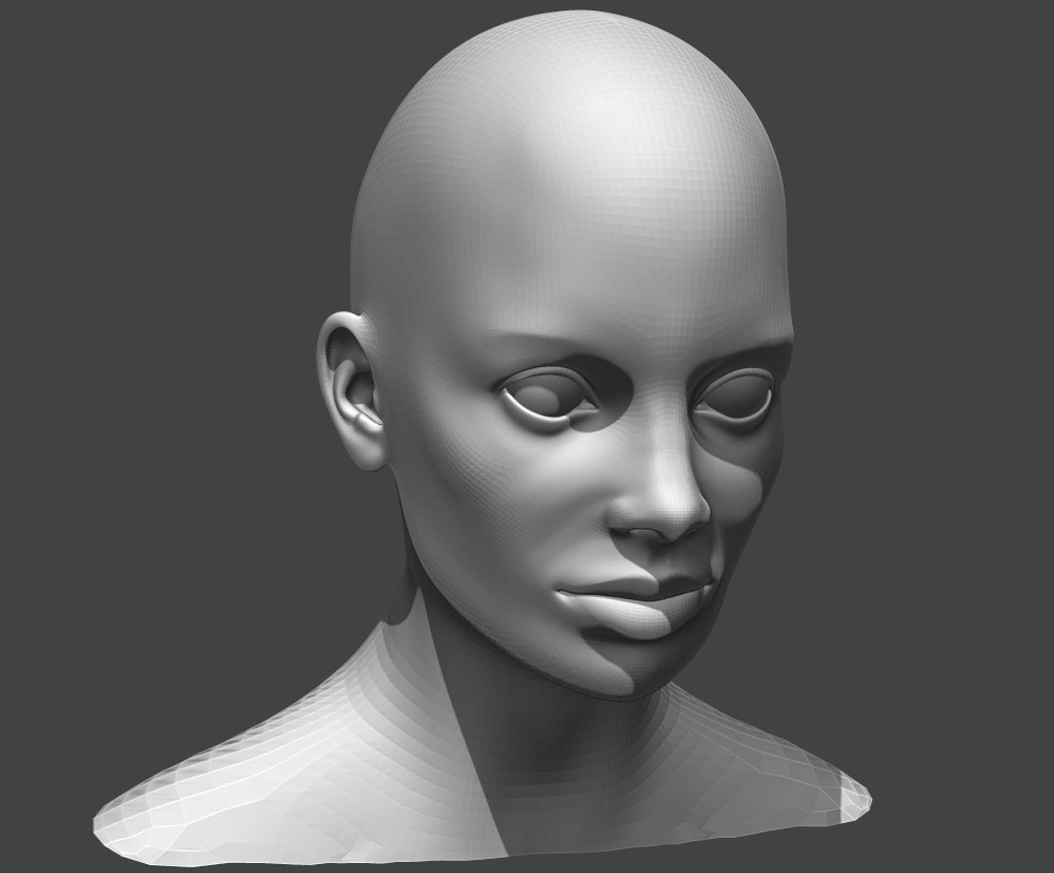 Male and Female Head Realistic Base Mesh 2 3D Model 3D model_14