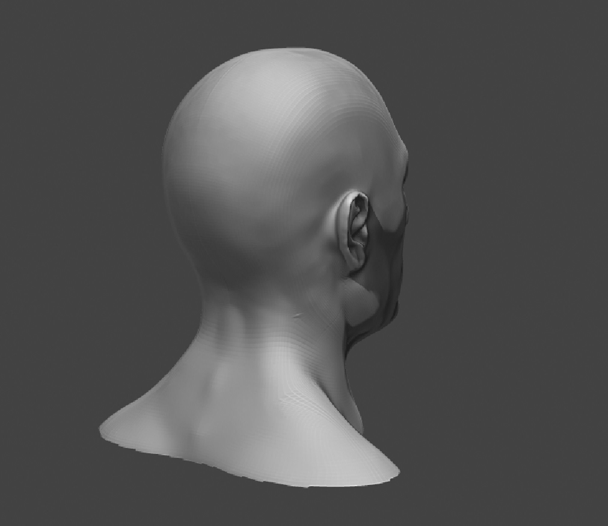 Male and Female Head Realistic Base Mesh 2 3D Model 3D model_15