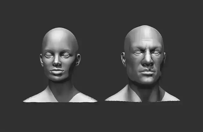 Male and Female Head Realistic Base Mesh 2 3D Model 3D model